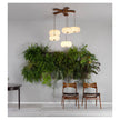 Aqua Creations 5 Molecules Chandelier Lounge Room