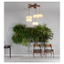 Aqua Creations 5 Molecules Chandelier Lounge Room