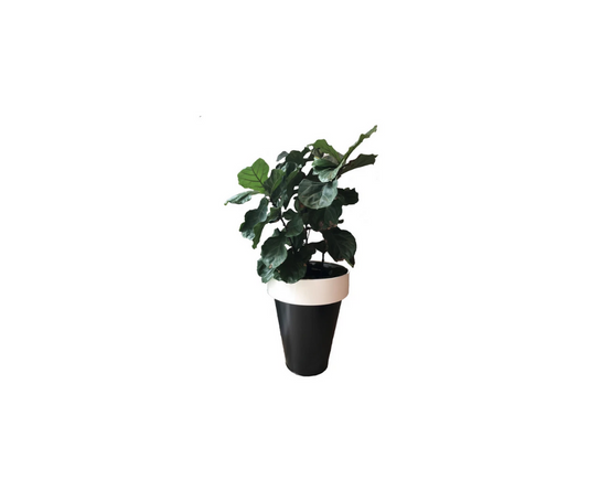 De Castelli Omega 90 Planter