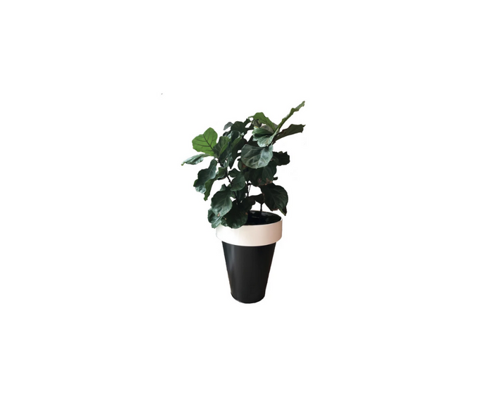 De Castelli Omega 90 Planter