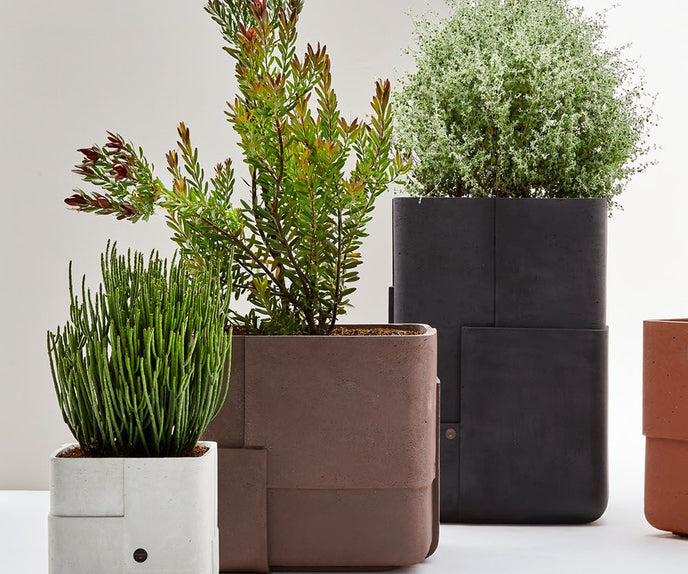 Aarde Planter Collection Indigenus
