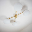Stella Butterfly Lamp Design For Macha