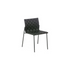 Zebra Chair Arrmet