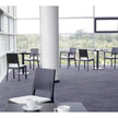 High end Lyon Mod. 514 Dining Armchair by Ton Casa Design