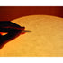 High end Kurage Table Lamp by Foscarini Casa Design