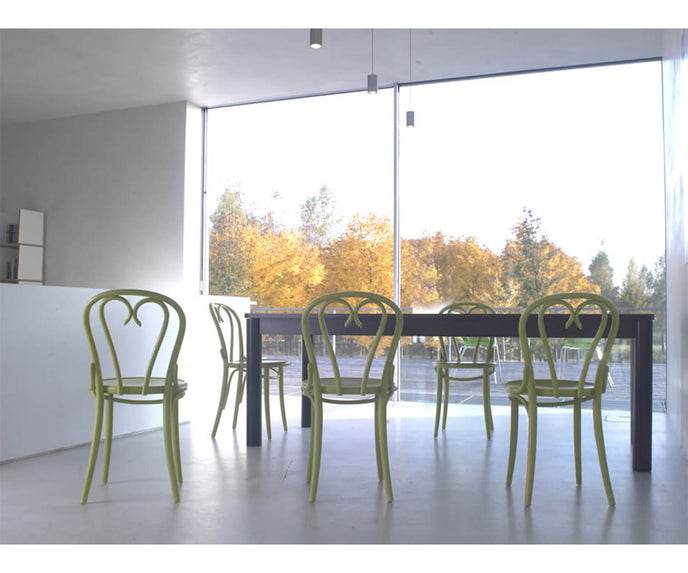High end No. 16 Dining Chair by Ton Casa Design