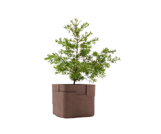 Aarde Planter Collection Indigenus