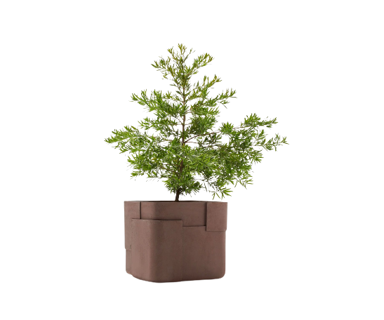 Aarde Planter Collection Indigenus