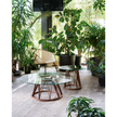 Acco Coffee Table Miniforms