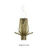High end Allegretto Suspension by Foscarini Casa Design