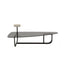 Amiral Coffee Table Giorgetti