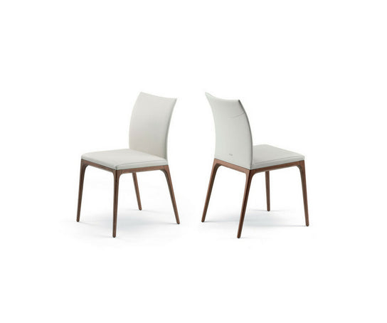 High end Arcadia Dining Chair by Cattelan Italia Casa Design