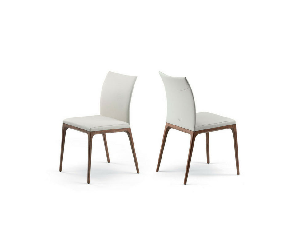 High end Arcadia Dining Chair by Cattelan Italia Casa Design