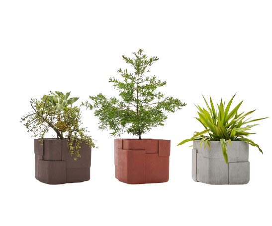 Aarde Planter Collection Indigenus