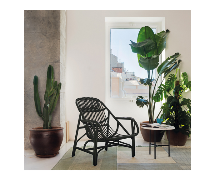 Benasal Armchair