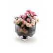 Bloom Vase