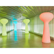 Bloom Lamp