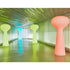 Bloom Lamp