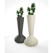 Bloom Planter