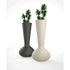 Bloom Planter