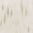 Genesis Rug Limited Edition