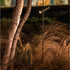High end Dots Objects Spotlight Floor Lamp by Kettal Casa Design