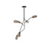 Diantha Hanging Lamp Gallotti&Radice