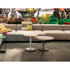 Dumbbell Tables Sancal