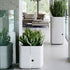 Aarde Planter Collection Indigenus