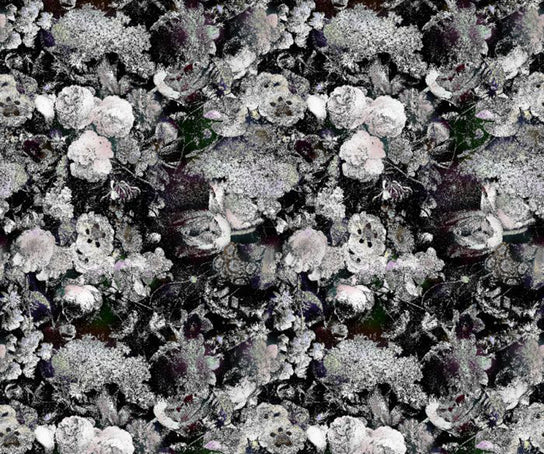 Eden Queen B&W Broadloom  Moooi