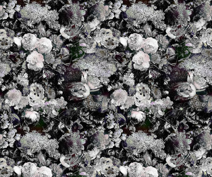 Eden Queen B&W Broadloom  Moooi