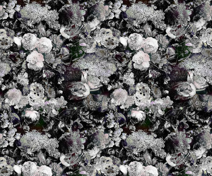 Eden Queen B&W Broadloom  Moooi