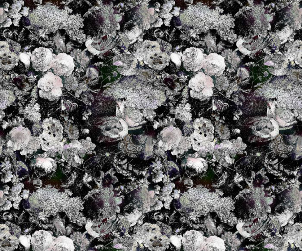 Eden Queen B&W Broadloom  Moooi