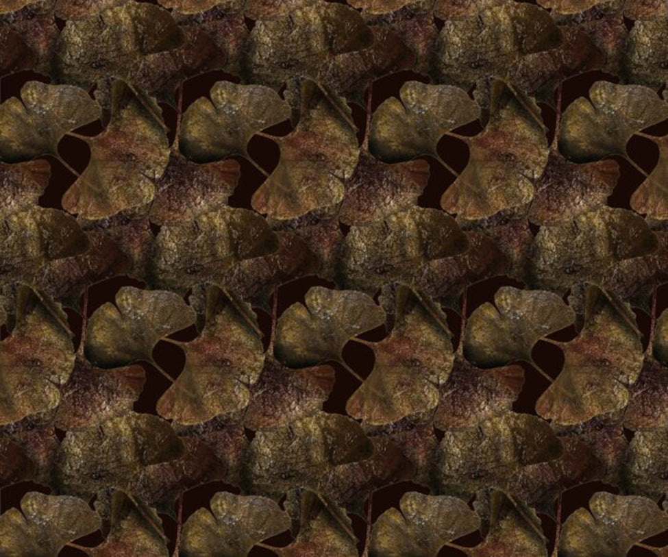 Ginko Leaf Rust Broadloom Moooi
