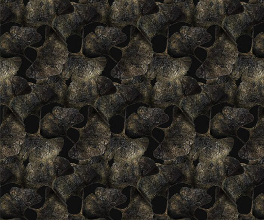 Ginko Leaf Black Broadloom Moooi