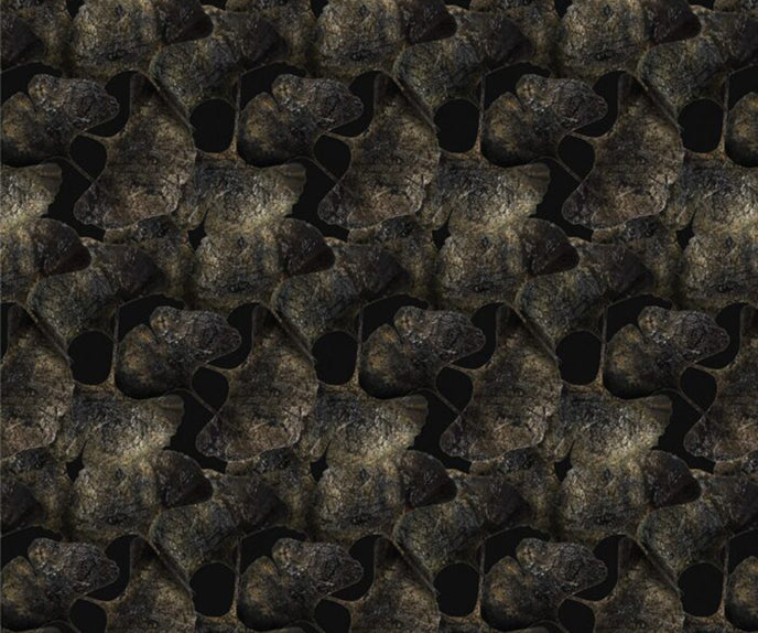 Ginko Leaf Black Broadloom Moooi