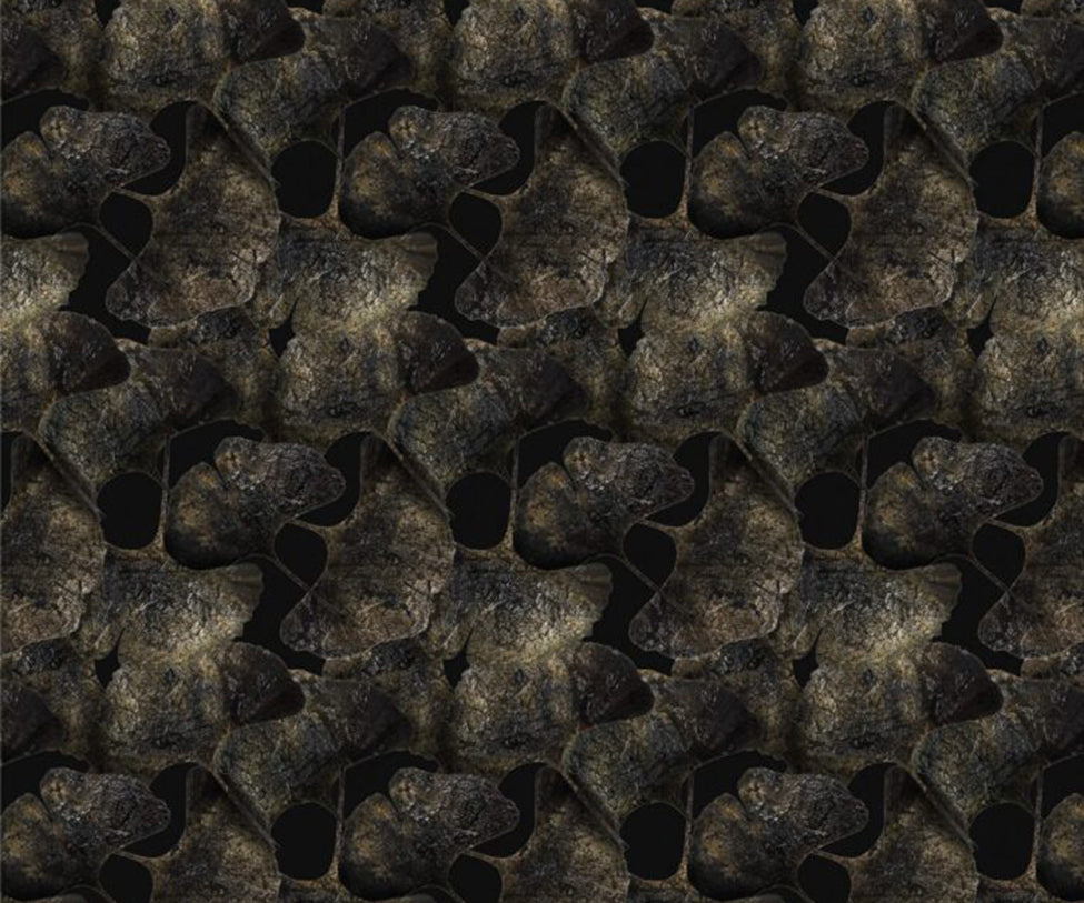 Ginko Leaf Black Broadloom Moooi