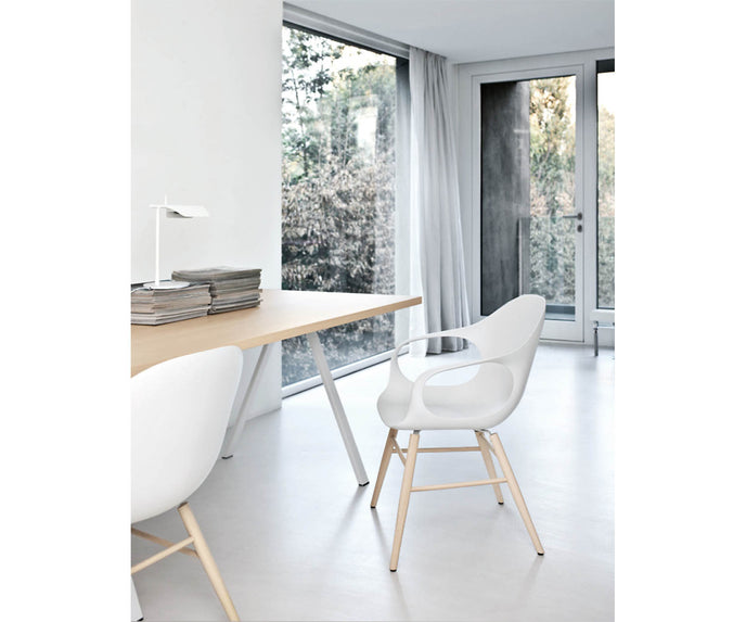 High end Elephant Wood Base Dining Armchair by Kristalia Casa Design