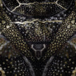 Blooming Seadragon Rug Moooi 
