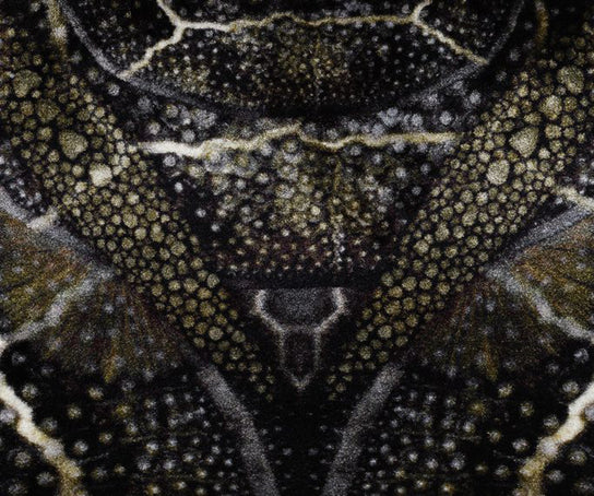 Blooming Seadragon Rug Moooi 