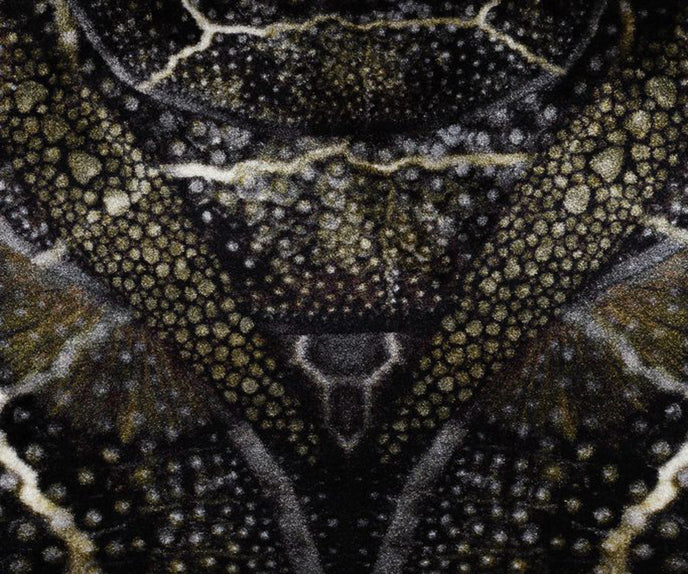 Blooming Seadragon Rug Moooi 