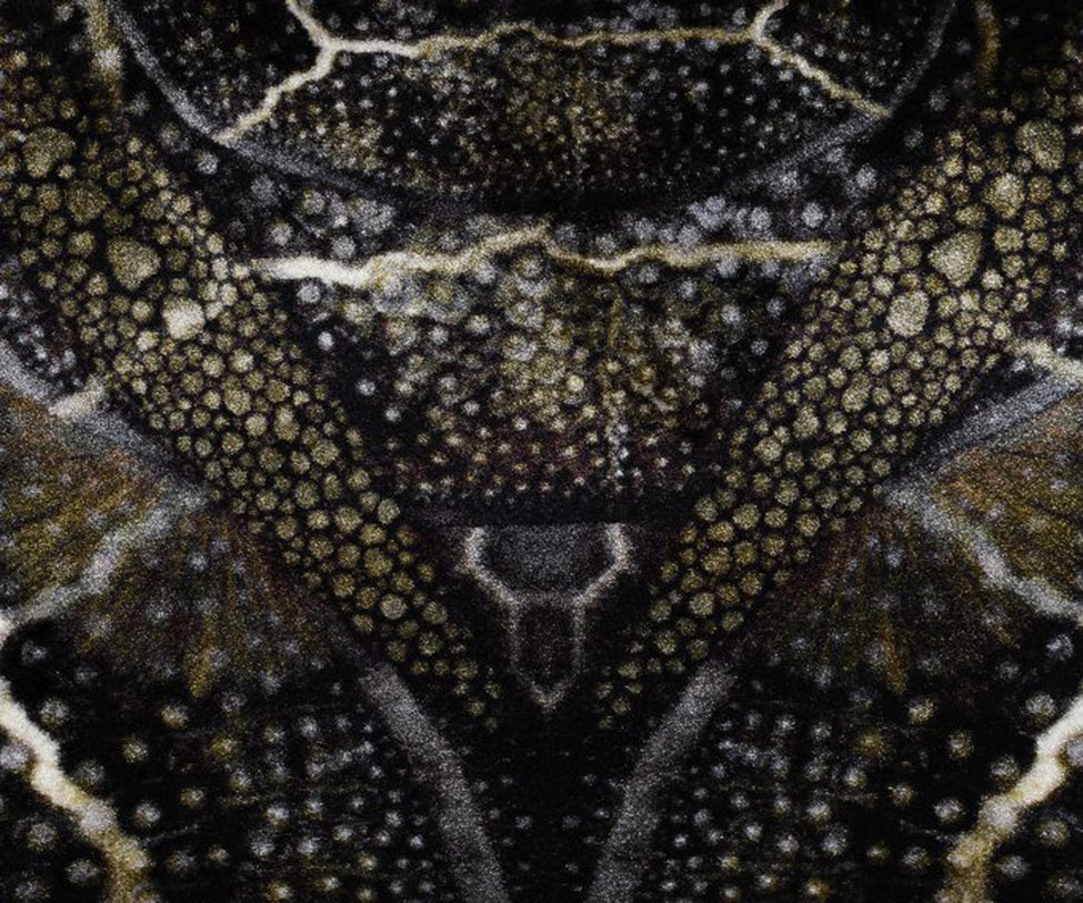 Blooming Seadragon Rug Moooi 