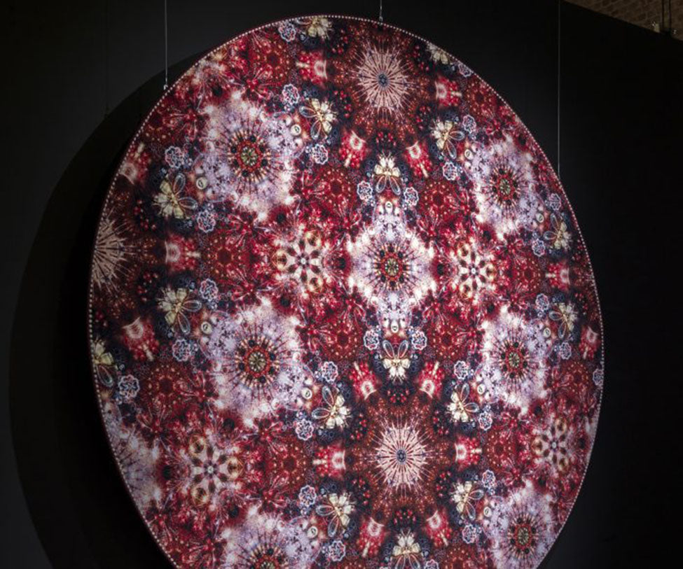 Festival Inferno Rug Moooi