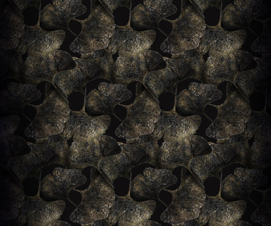 Ginko Leaf Black Rug Moooi