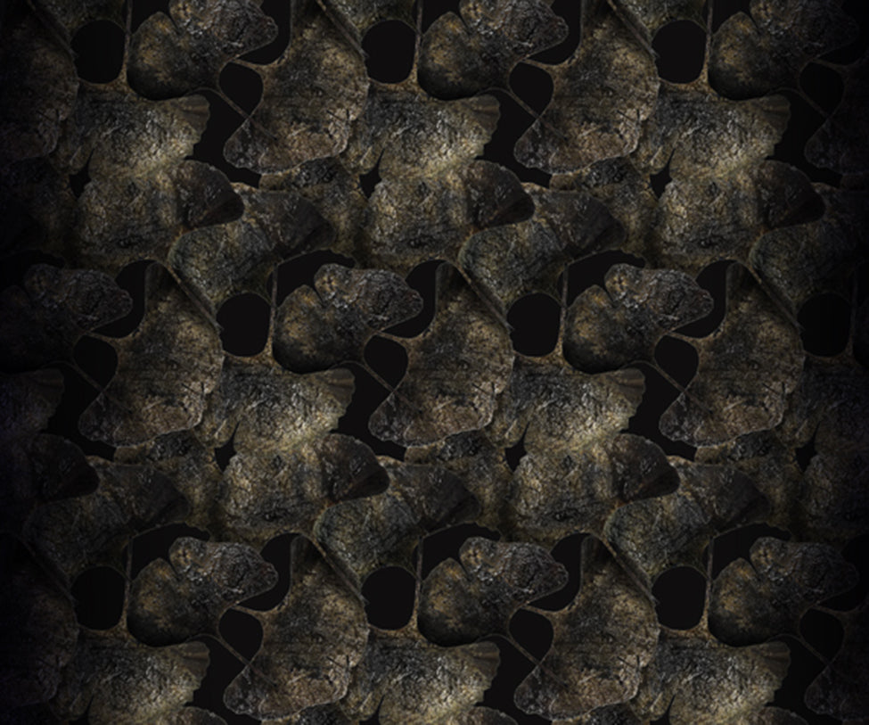 Ginko Leaf Black Rug Moooi