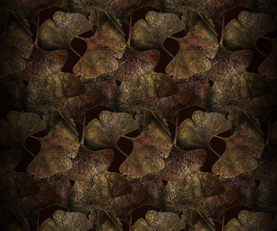 Ginko Leaf Rust Rug Moooi