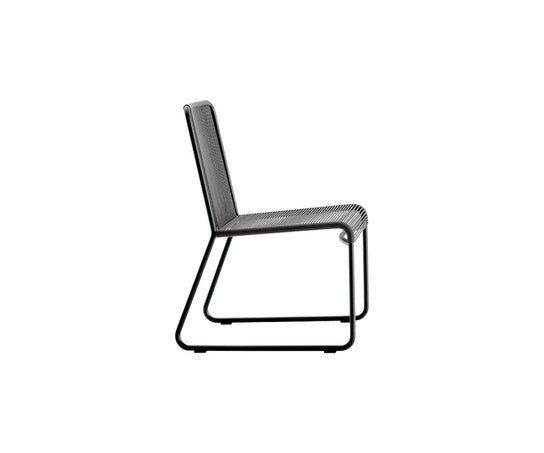 Harp 349 Dining Chair In Stock Roda