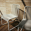 Harp 349 Dining Chair Roda