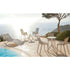 High end Ibiza Chair With Arms by Vondom Casa Design