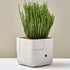 Aarde Planter Collection Indigenus